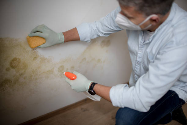 Best Mold Testing  in Akron, PA