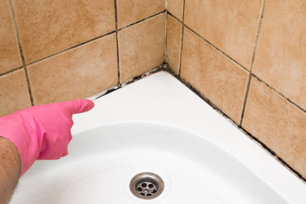 Best Mold Removal Process  in Akron, PA